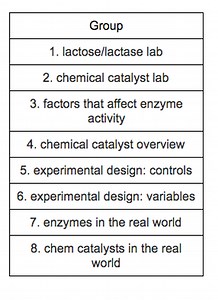 Enzyme/ Catalyst Jigsaw