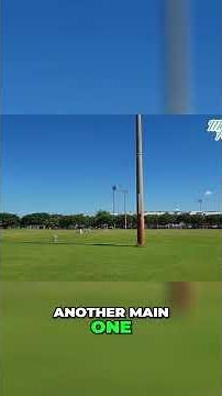 Westchester & Fontainebleau: Miami Neighborhood Guide! #shorts