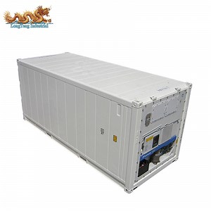 [Hot Item] Stainless Steel 20FT Daikin Reefer Container