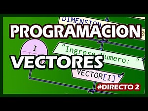 Vectores y Funciones - Programación 👩‍💻👨‍💻