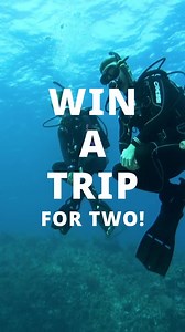 PADI on Instagram: "Join the 2025 Master Scuba Diver Challenge & WIN a Dream Dive Trip for Two! 🏝️🤿 Are you ready to take your dive journey to the next level? From now until October 31, 2025, you could earn the prestigious PADI Master Scuba Diver rating and win an epic trip to Paradise Taveuni Resort in Fiji — valued at nearly $8,000! What You’ll Gain: 🐠 Only 2% of divers ever reach MSD status 🐠 Master 5 specialties, complete 50 dives, and become a Rescue Diver 🐠 Earn extra chances to win b