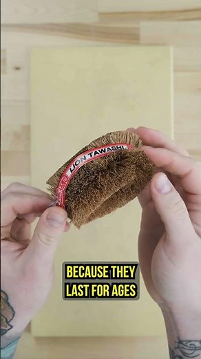 HASEGAWA MAINTENANCE #shorts