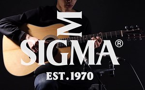 Sigma DM-1 Demo 评测