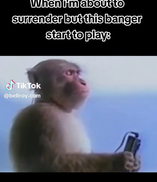 I Will Survive: Memes and Music Highlights