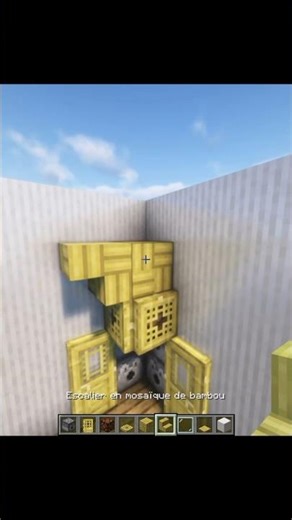 Minecraft Porte Armure 🛡️