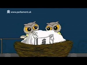 Making laws How a law is made part 2 of 2