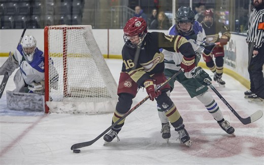 Here are the 8 girls hockey teams jostling for a North Dakota state title