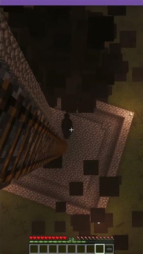 Stopped recording then Null attacked. Minecraft The Broken Script #youtubeshorts