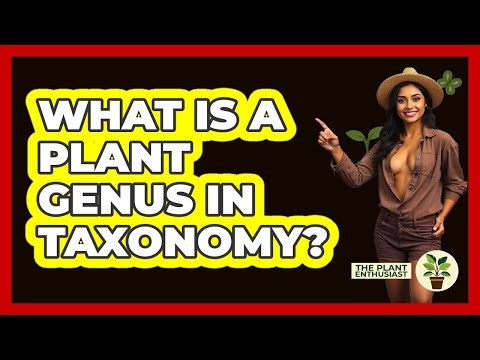 What Is A Plant Genus In Taxonomy? - The Plant Enthusiast