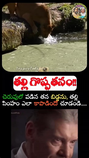 అమ్మ అంటే అమ్మే! #inspiretoaspire #trendingshorts #viralmoment #viralshorts