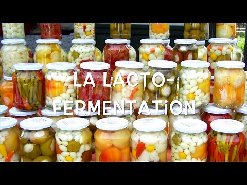 #20 La Lacto-fermentation