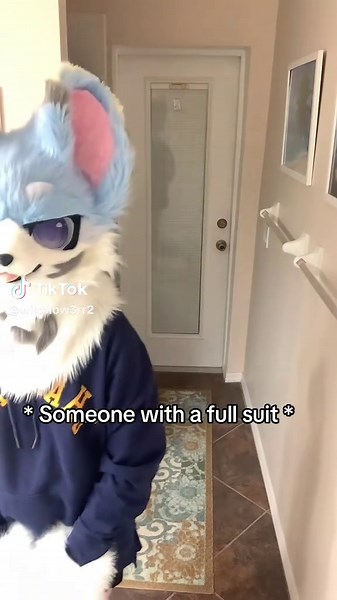 Exploring the Furry Fandom and Fursonas