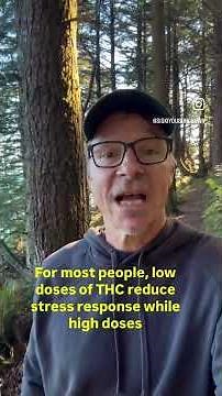 Why do Studies on Cannabis & Mental Health Show Conflicting Results?