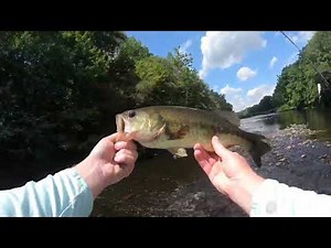 Fishing the Blackstone River (Part 3)