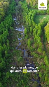 Barrages, plans d’eau, bois mort : en façonnant son habitat, le castor crée des refuges pour la biodiversité, améliore la qualité de l’eau et aide à réguler les crues et les périodes de sécheresse. Cohabiter avec le castor demande parfois de laisser plus de place à la nature, mais les bénéfices en valent largement la peine. Pour devenir volontaire ou faire appel au groupe de travail castors en cas de difficultés liées à sa présence : https://castor.natagora.be/ 📍 Natagora agit en Wallonie et à 