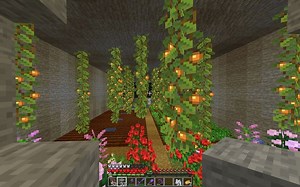 5 new farms to build in Minecraft 1.17 Caves and Cliffs update