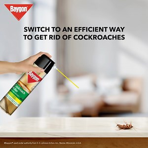 The power of Baygon is all you need to take back your home and stay safe from cockroaches! #KillCockroaches #Protection #Baygon | Baygon
