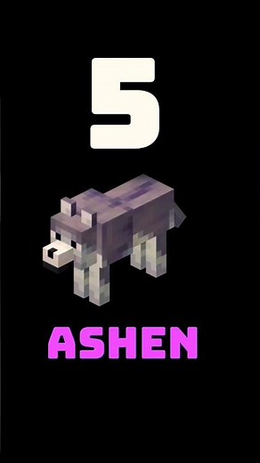 Top 5 Rarest Dogs In Minecraft | Minecraft | Dogs In Minecraft | Harsh nato nato