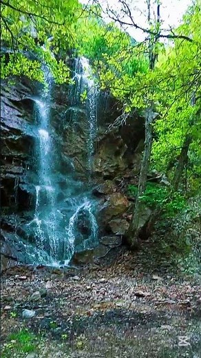 A Secret Waterfall Deep in the Forest 🌿💧#NatureNomad #Waterfall #Forest