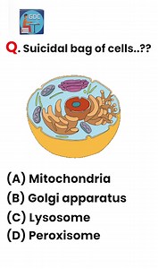 2.5K views · 17 reactions | Suicidal bag of cells is ? GDC CLASSES APP for ANDROID https://bit.ly/youtubegdcapp . . . . . . #exitexam #pharmastudentt #pharmacy #pharmaceutical #pharmacist #pharmacylife #memesfunny #memesdaily #studentlife #rrbjob #pharmaceutical #pyqs #pharmacology #medicine #DiplomaInPharmacy | Gpat Discussion Center | Facebook