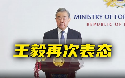 王毅：中方支持巴勒斯坦成为联合国正式成员国