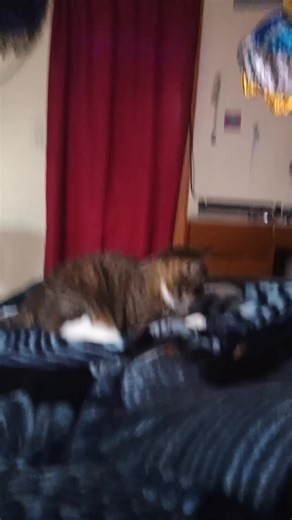 Blanket Monster! I wish I'd recorded more before she got overstimulated