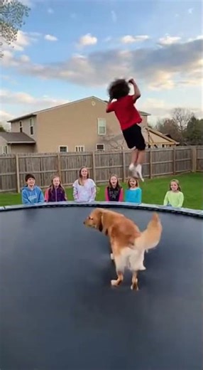 Kid And Dog Synchronized Backflip Battle Goes CRAZY