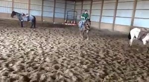 2 YO Red Roan Filly, Pitzer Ranch Bred (x Hagrid), HPI eligible, going to be a BIG, STOUT, CALM rope horse. $4500, call CJ or Jason with questions 5th ride on our Pitzer Ranch 2yo and she's tracking already. Nice babies with nice starts = horses we all love to ride!!! | Perry Quarter Horses