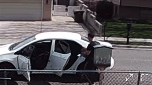 ‘Librarians want to unite’: Community rallies together after man steals books from ‘Little Free Library’