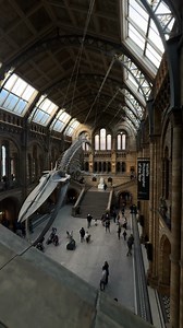 Capturing a History Museum in 100 MP with Hasselblad X2D 100C 📍 Natural History Museum, London #hasselblad #100MP #wideanglelens #museum #architecture | Hasselblad