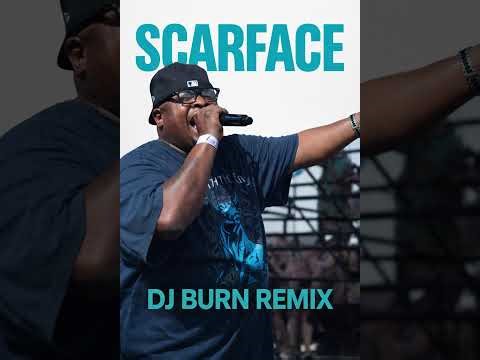 Scarface - Sunshine (DJ Burn Remix)