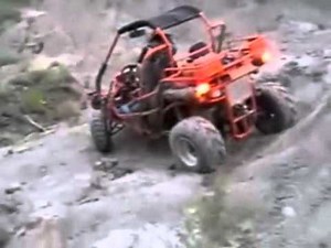 Expressatvs com XRX 300 300cc Go Kart Dune Buggy