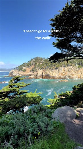 Relaxing Nature Walk at Point Lobos