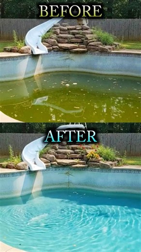 Dirty to Clean Pool! 💦😱