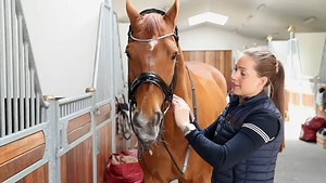 Zebra Products on Reels | Facebook