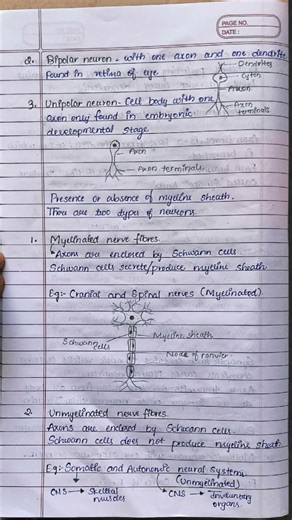 Neural Control and Co-ordination Notes 🌿# Zoology # Biology notes# Class 11 # NEET Questions