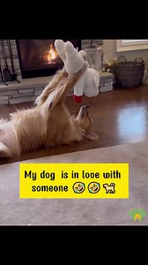 So cute 🥰 | The Dodo Pet