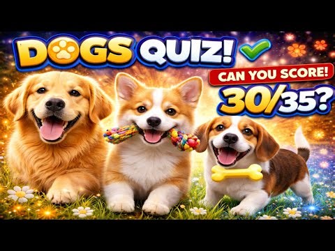 35 DOGS Questions - How many can you answer? #quizchallenge #dailyquiz #mindbendingquiz #dogs