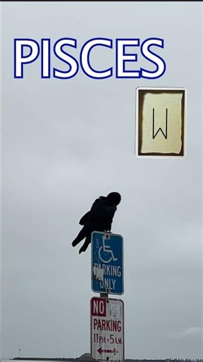 Pisces ♓️ RUNE OF THE DAY: EIHWAZ REVERSED 😮🤔