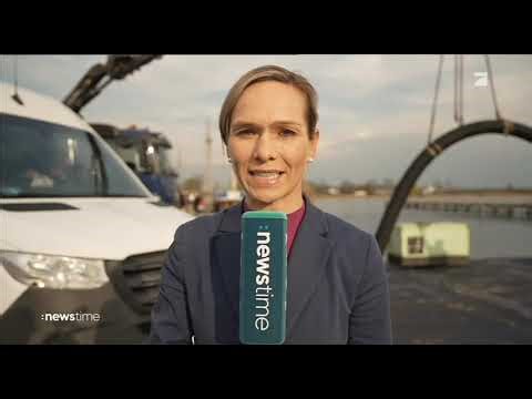 Pro7 presenter Ilka Groenewold - reporter for newstime - humpback whale off the island of Poel