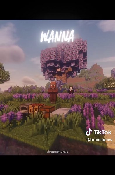 Minecraft Villager Singing 'Die With A Smile'