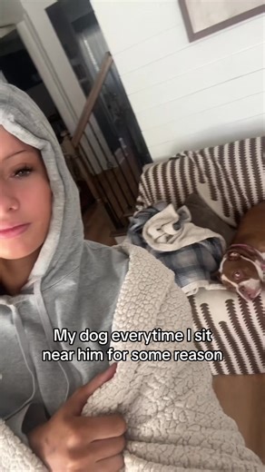 Audrey🍸 (@audreyelizzbeth)’s video of my dog