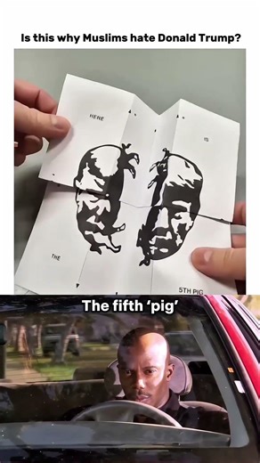 The 5th pig 🐷 #memes #donaldtrump #presidentoftheunitedstatesofamerica#zdak#funny#trending#ytshorts