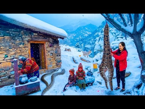 Harvesting 1000+ Giant Ghost Python In The Village Coldest Go to Market Sell | How to trap a python