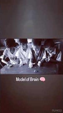 "Students Showcase Interactive Brain Model | Learning Neuroscience Hands-On!"#brain#neuroscience