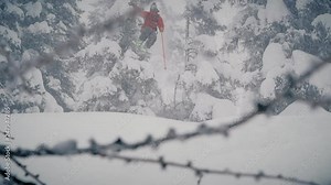 Skier jumping through trees and landing in a field of deep powder snow in the forest in slow motion Stock Video