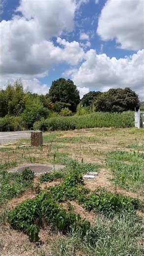 [スマートIC] 山陽道・吉備SA(下) #高速道路 #山陽自動車道 #吉備SA #shorts