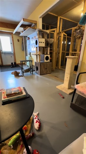 A homework assignment!? 📚 🤓