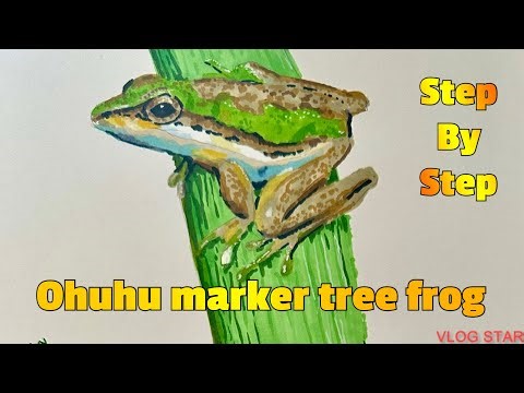 Ohuhu marker drawing of a tree frog , step by step 