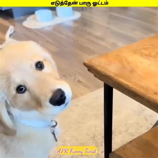 nmg fan (@nmg.fan)’s videos with original sound - nmg fan